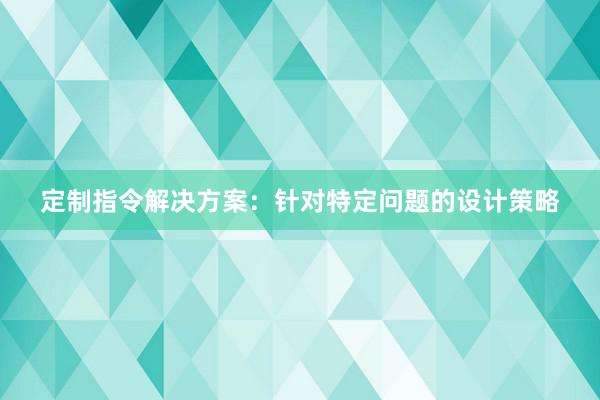 定制指令解决方案：针对特定问题的设计策略